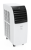 Мобильный кондиционер серии SAKURA MAC-SK30HPN03
